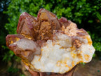 Natural Large Red Hematoid Quartz Cluster x 1 From Karoi, Zimbabwe - Toprock Gemstones and Minerals 