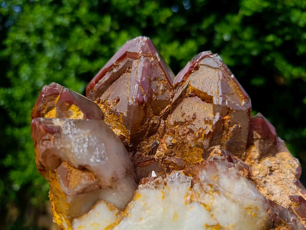 Natural Large Red Hematoid Quartz Cluster x 1 From Karoi, Zimbabwe - Toprock Gemstones and Minerals 