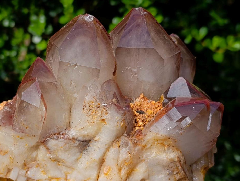 Natural Large Red Hematoid Quartz Cluster x 1 From Karoi, Zimbabwe - Toprock Gemstones and Minerals 