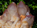 Natural Large Red Hematoid Quartz Cluster x 1 From Karoi, Zimbabwe - Toprock Gemstones and Minerals 