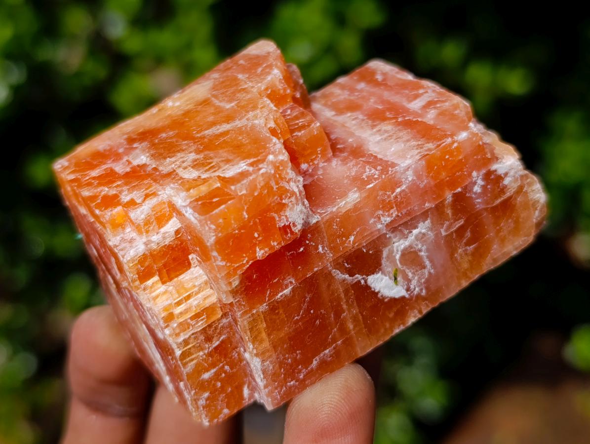 Natural Rhombohedral Sunset Orange Calcite Specimens x 12 From Spitzkop, Namibia - Toprock Gemstones and Minerals 