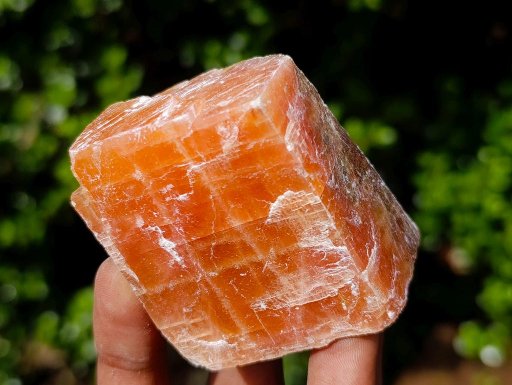 Natural Rhombohedral Sunset Orange Calcite Specimens x 12 From Spitzkop, Namibia - Toprock Gemstones and Minerals 