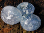 Polished Blue Celestite Free Form Crystals x 39 From Sakoany, Madagascar - Toprock Gemstones and Minerals 