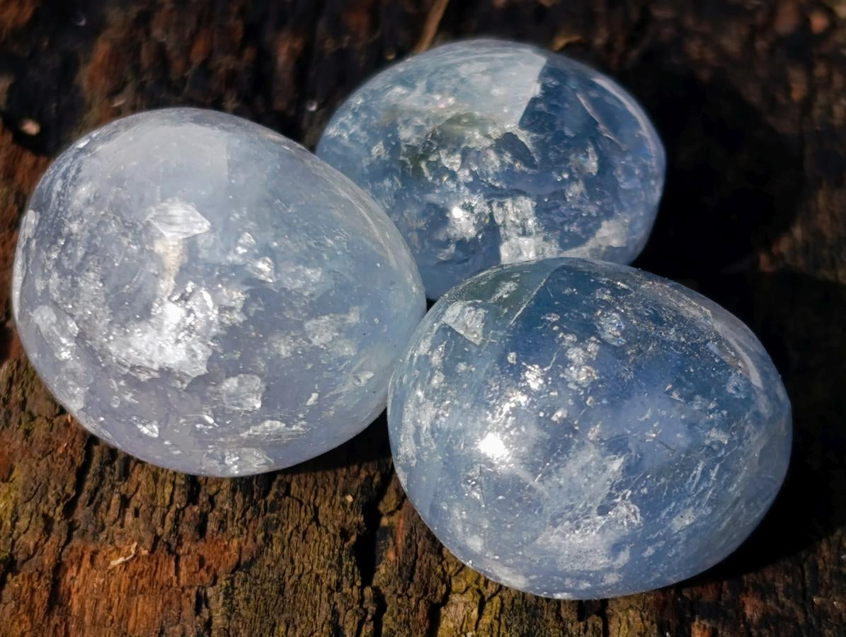 Polished Blue Celestite Free Form Crystals x 39 From Sakoany, Madagascar - Toprock Gemstones and Minerals 