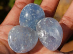 Polished Blue Celestite Free Form Crystals x 39 From Sakoany, Madagascar - Toprock Gemstones and Minerals 