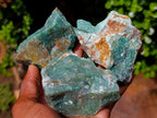 Natural Swazi Jade Cobbed Specimens x 12 From Swaziland - Toprock Gemstones and Minerals 