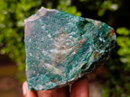 Natural Swazi Jade Cobbed Specimens x 12 From Swaziland - Toprock Gemstones and Minerals 