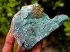 Natural Swazi Jade Cobbed Specimens x 12 From Swaziland - Toprock Gemstones and Minerals 