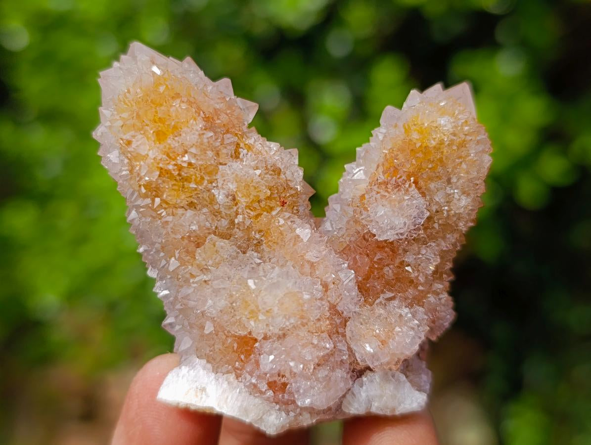 Natural Limonite Fairy Spirit Quartz Clusters x 35 From Boekenhouthoek, South Africa