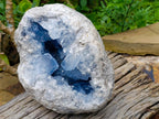 Natural Large Blue Celestite Geode Specimen x 1 From Sakoany, Madagascar - Toprock Gemstones and Minerals 
