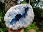 Natural Large Blue Celestite Geode Specimen x 1 From Sakoany, Madagascar - Toprock Gemstones and Minerals 