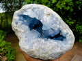 Natural Large Blue Celestite Geode Specimen x 1 From Sakoany, Madagascar - Toprock Gemstones and Minerals 