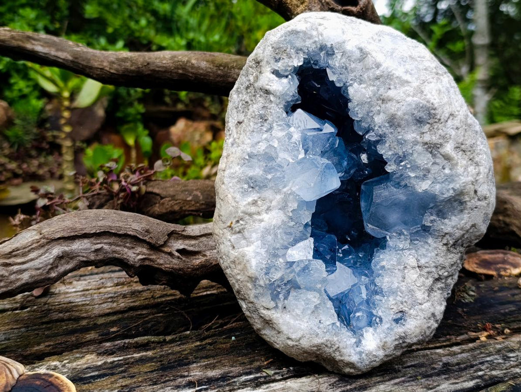 Natural Large Blue Celestite Geode Specimen x 1 From Sakoany, Madagascar - Toprock Gemstones and Minerals 