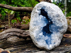Natural Large Blue Celestite Geode Specimen x 1 From Sakoany, Madagascar - Toprock Gemstones and Minerals 