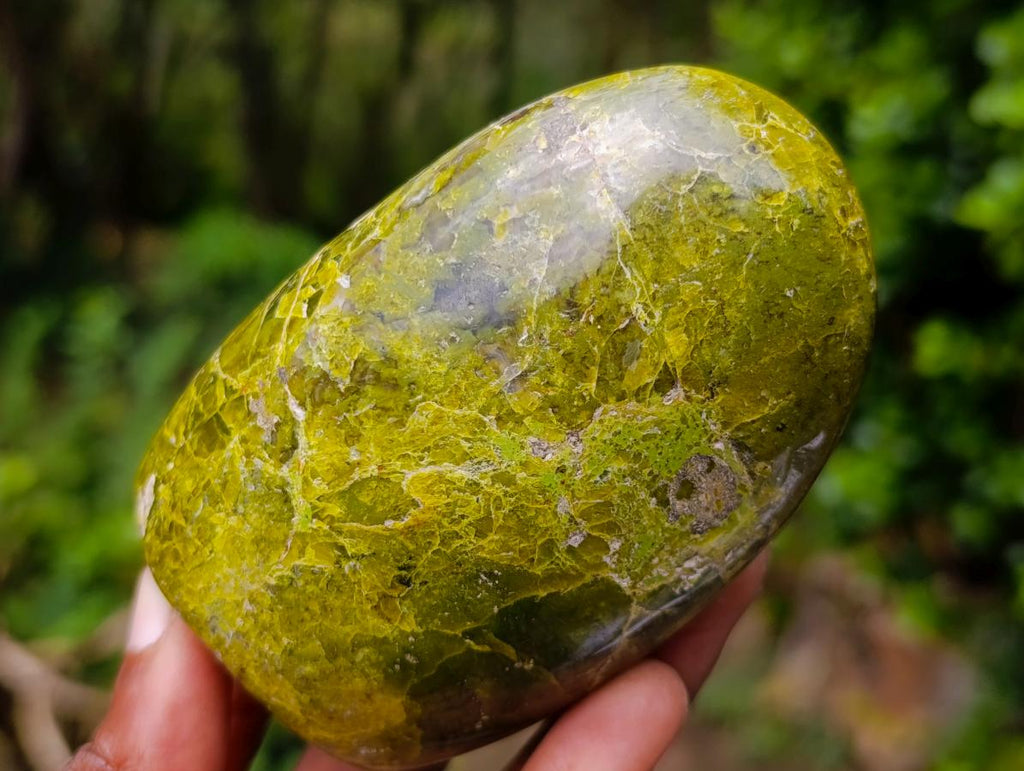Polished Green Opal Standing Free Forms x 3 From Betroka, Madagascar - Toprock Gemstones and Minerals 