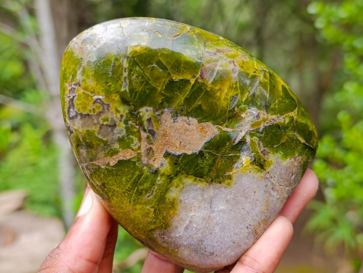 Polished Green Opal Standing Free Forms x 3 From Betroka, Madagascar - Toprock Gemstones and Minerals 