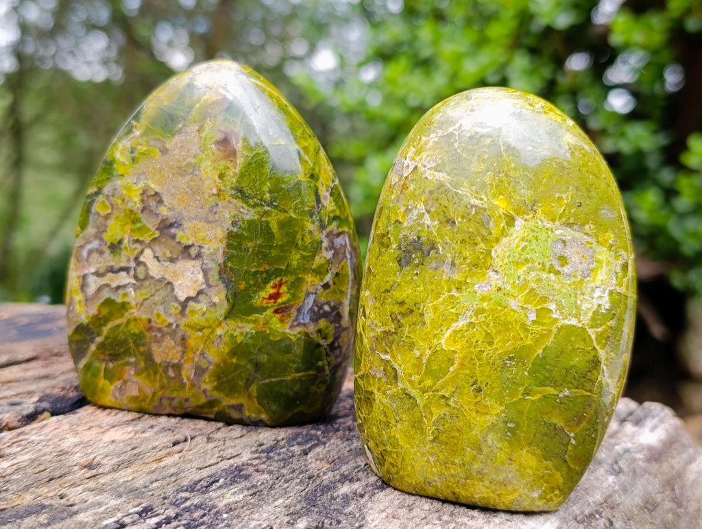 Polished Green Opal Standing Free Forms x 3 From Betroka, Madagascar - Toprock Gemstones and Minerals 