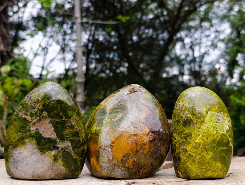 Polished Green Opal Standing Free Forms x 3 From Betroka, Madagascar - Toprock Gemstones and Minerals 