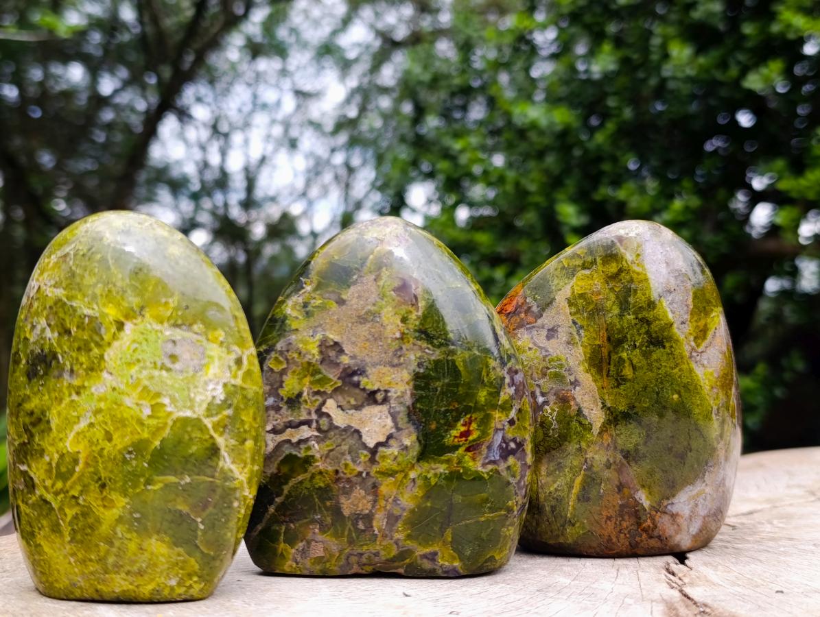 Polished Green Opal Standing Free Forms x 3 From Betroka, Madagascar - Toprock Gemstones and Minerals 