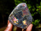 Polished Rare Purple Sunset Flash Labradorite Standing Display Pieces x 6 From Madagascar - Toprock Gemstones and Minerals 