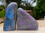 Polished Rare Purple Sunset Flash Labradorite Standing Display Pieces x 6 From Madagascar - Toprock Gemstones and Minerals 