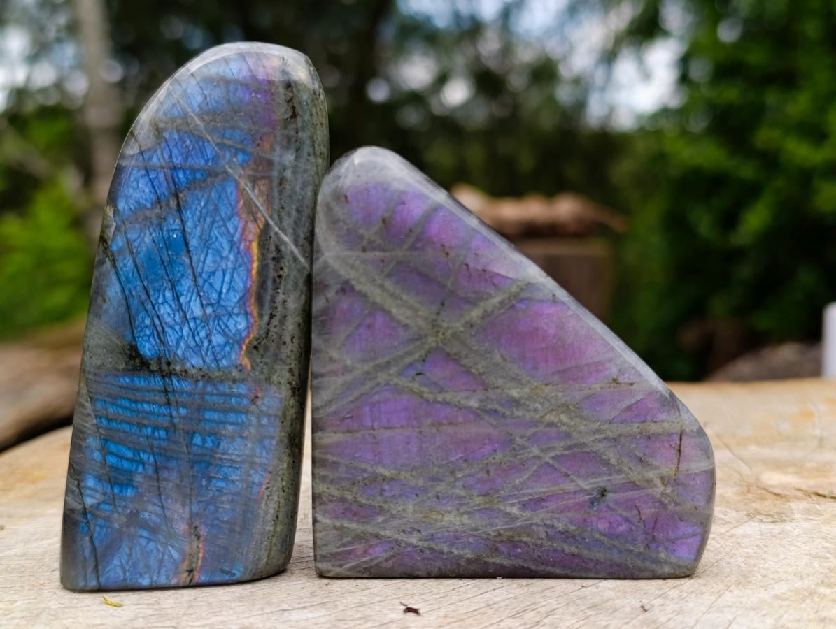 Polished Rare Purple Sunset Flash Labradorite Standing Display Pieces x 6 From Madagascar - Toprock Gemstones and Minerals 