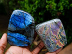 Polished Rare Purple Sunset Flash Labradorite Standing Display Pieces x 6 From Madagascar - Toprock Gemstones and Minerals 