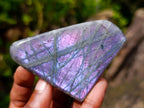 Polished Rare Purple Sunset Flash Labradorite Standing Display Pieces x 6 From Madagascar - Toprock Gemstones and Minerals 