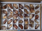 Natural Red Hematoid Quartz Crystals x 35 From Karoi, Zimbabwe - Toprock Gemstones and Minerals 