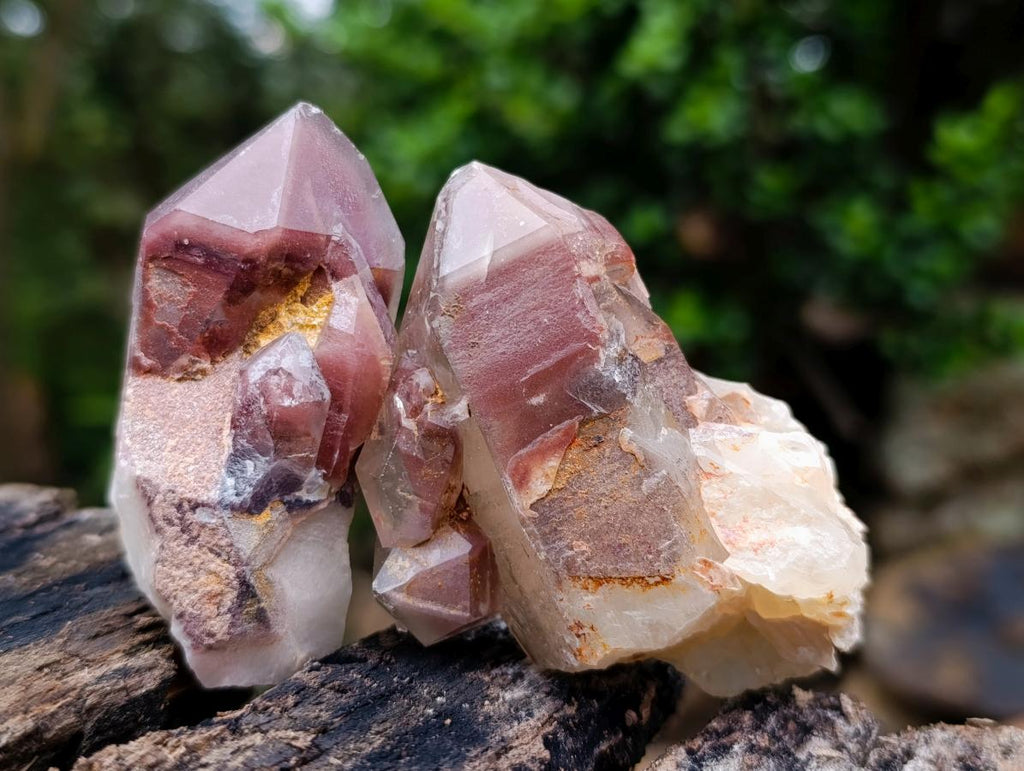 Natural Red Hematoid Quartz Crystals x 35 From Karoi, Zimbabwe - Toprock Gemstones and Minerals 