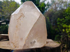 Polished XL Tabular Smokey Quartz Crystal x 1 From Angola - Toprock Gemstones and Minerals 