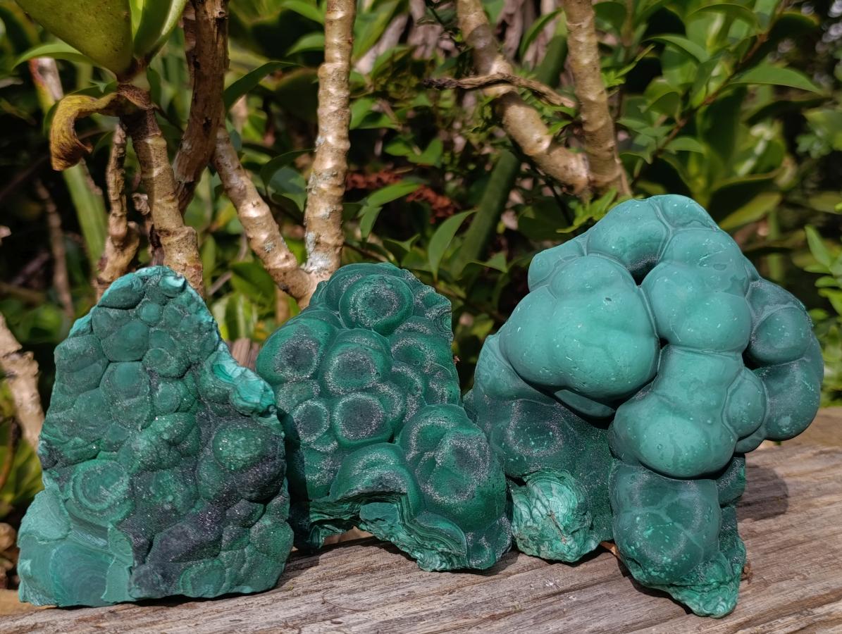Natural Botryoidal Malachite Specimens x 3 From Congo - Toprock Gemstones and Minerals 