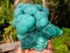 Natural Botryoidal Malachite Specimens x 3 From Congo - Toprock Gemstones and Minerals 