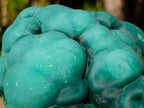 Natural Botryoidal Malachite Specimens x 3 From Congo - Toprock Gemstones and Minerals 