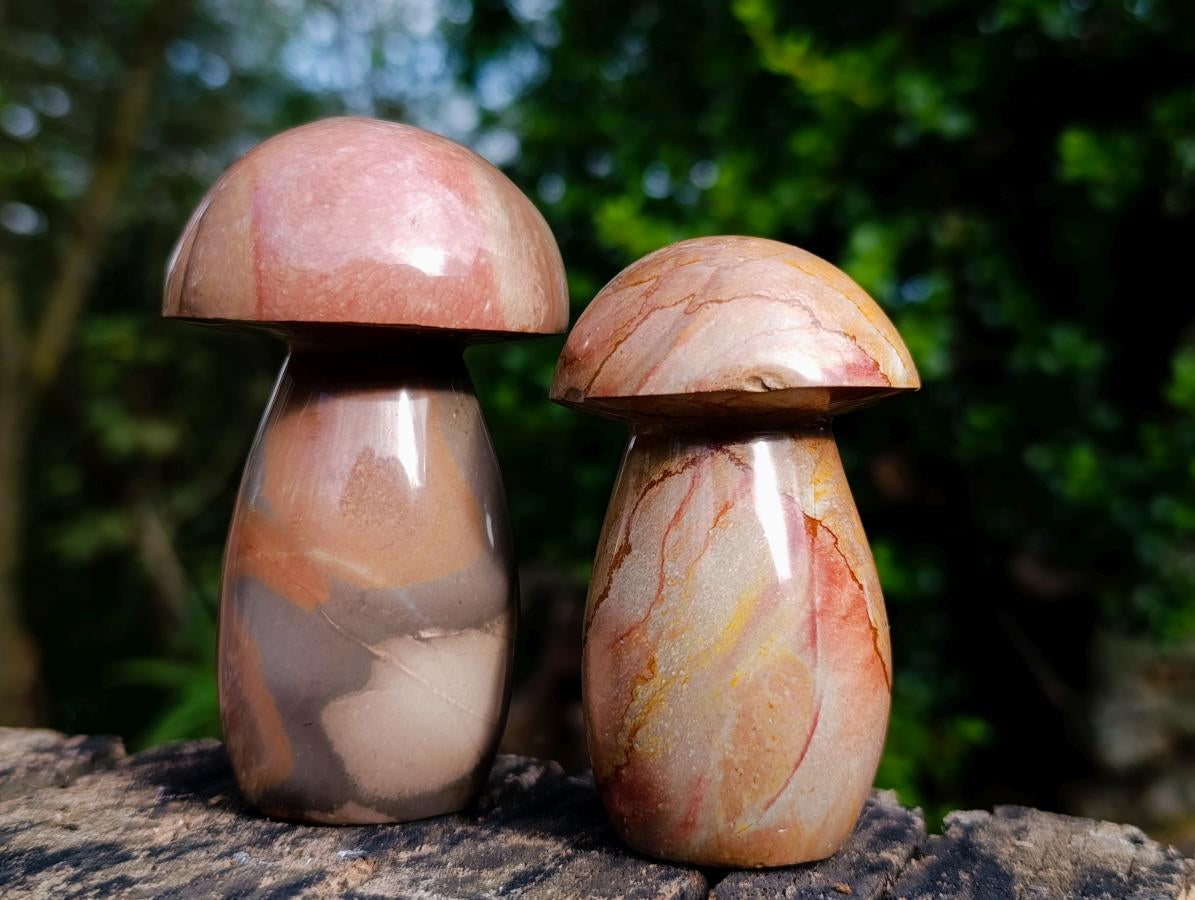 Polished Large Polychrome Jasper Mushrooms x 6 From NW Coast, Madagascar - Toprock Gemstones and Minerals 