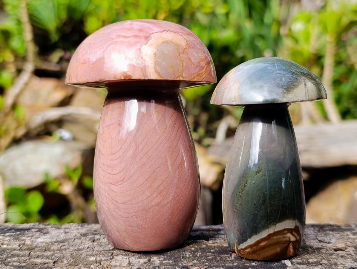 Polished Large Polychrome Jasper Mushrooms x 6 From NW Coast, Madagascar - Toprock Gemstones and Minerals 