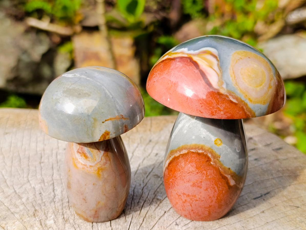 Polished Large Polychrome Jasper Mushrooms x 6 From NW Coast, Madagascar - Toprock Gemstones and Minerals 