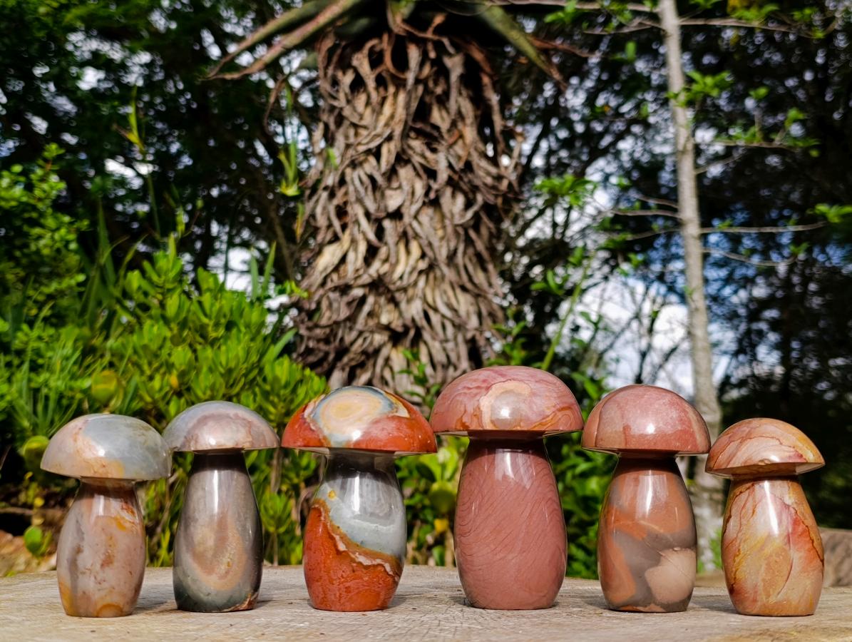 Polished Large Polychrome Jasper Mushrooms x 6 From NW Coast, Madagascar - Toprock Gemstones and Minerals 