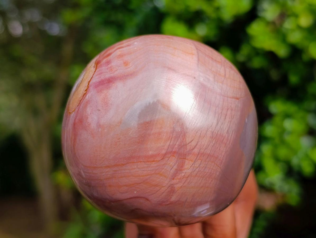 Polished Large Polychrome Jasper Mushrooms x 6 From NW Coast, Madagascar - Toprock Gemstones and Minerals 