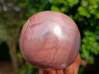 Polished Large Polychrome Jasper Mushrooms x 6 From NW Coast, Madagascar - Toprock Gemstones and Minerals 