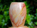 Polished Large Polychrome Jasper Mushrooms x 6 From NW Coast, Madagascar - Toprock Gemstones and Minerals 