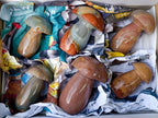 Polished Large Polychrome Jasper Mushrooms x 6 From NW Coast, Madagascar - Toprock Gemstones and Minerals 