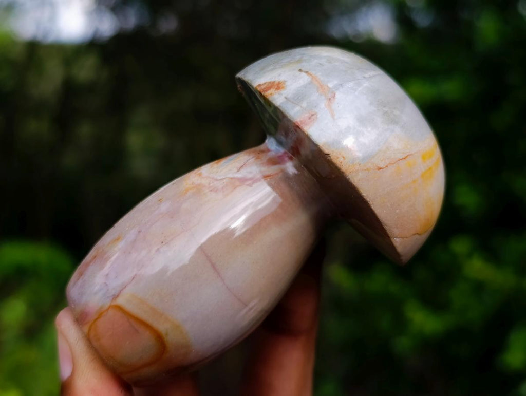 Polished Large Polychrome Jasper Mushrooms x 6 From NW Coast, Madagascar - Toprock Gemstones and Minerals 