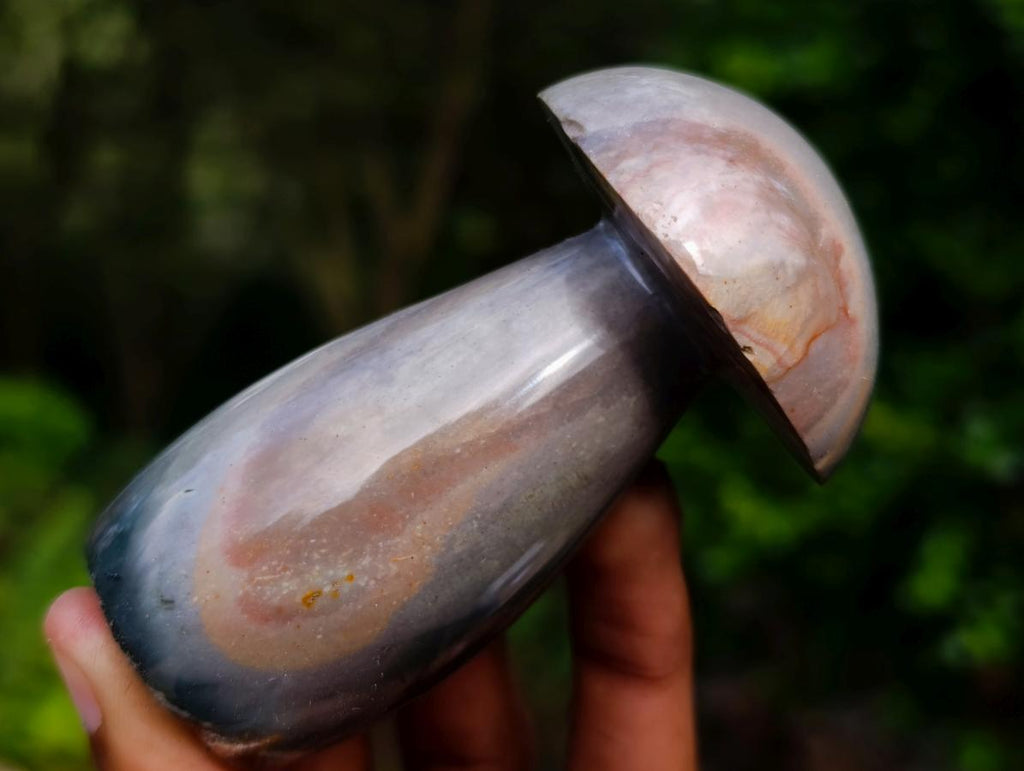 Polished Large Polychrome Jasper Mushrooms x 6 From NW Coast, Madagascar - Toprock Gemstones and Minerals 