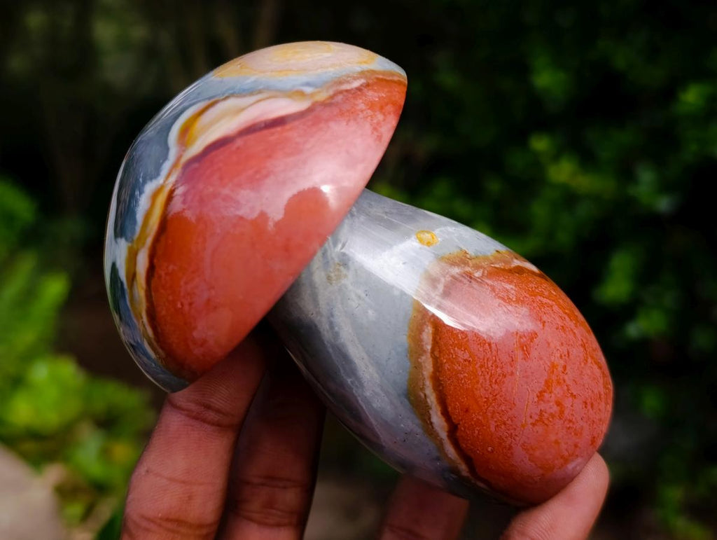 Polished Large Polychrome Jasper Mushrooms x 6 From NW Coast, Madagascar - Toprock Gemstones and Minerals 