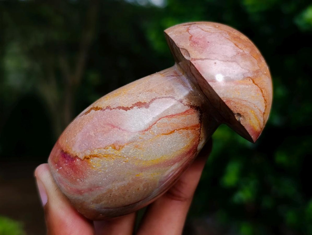 Polished Large Polychrome Jasper Mushrooms x 6 From NW Coast, Madagascar - Toprock Gemstones and Minerals 