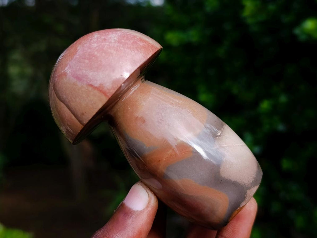Polished Large Polychrome Jasper Mushrooms x 6 From NW Coast, Madagascar - Toprock Gemstones and Minerals 