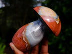Polished Large Polychrome Jasper Mushrooms x 6 From NW Coast, Madagascar - Toprock Gemstones and Minerals 