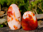 Polished Carnelian Agate Gemstone Standing Display Pieces x 6 From Madagascar - Toprock Gemstones and Minerals 