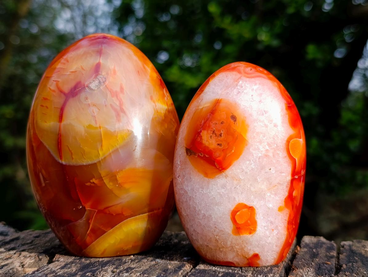 Polished Carnelian Agate Gemstone Standing Display Pieces x 6 From Madagascar - Toprock Gemstones and Minerals 